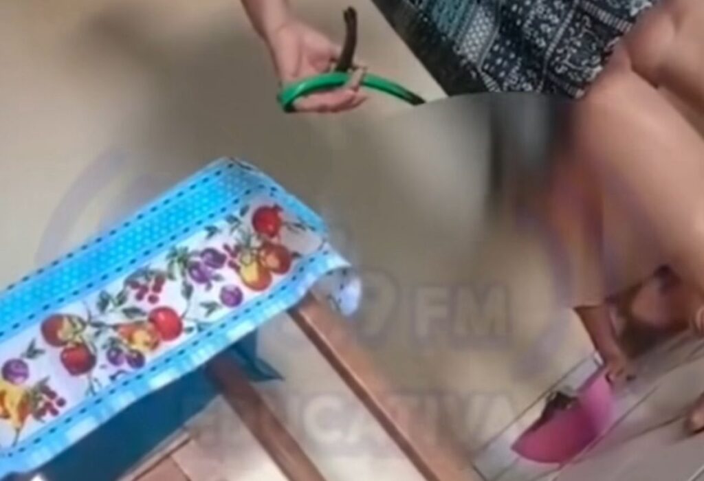 Avós presos por torturar netos em Mato Grosso