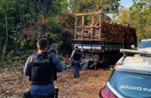 Operação contra desmatamento ilegal prende oito em MT