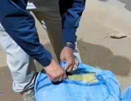 PRF apreende 230 tabletes de skunk em caminhão com inhame