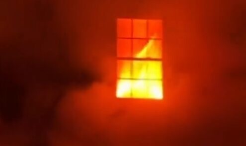 Decoração de Halloween assusta vizinhos e viraliza na web