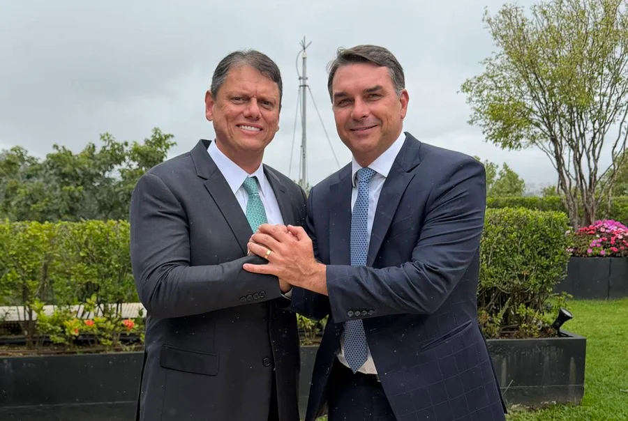 Segurança Pública: Entenda Como o Plano de Flávio Bolsonaro Pode Afetar o País